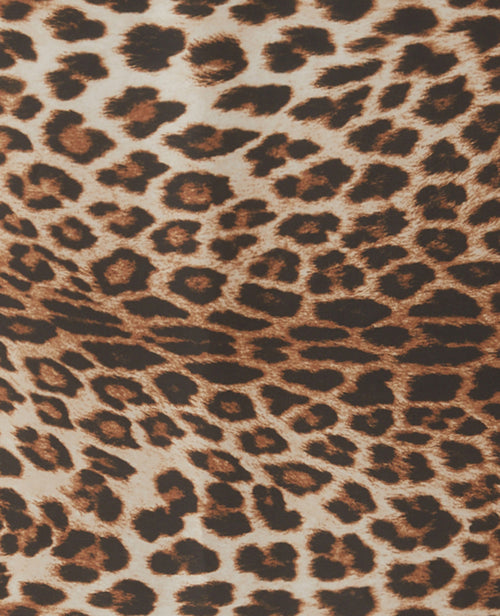 Foulard en tissu satiné motif léopard - PIMKIE - 6