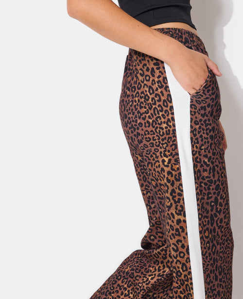 Pantalon de jogging léopard avec bandes contrastées - PIMKIE - 3