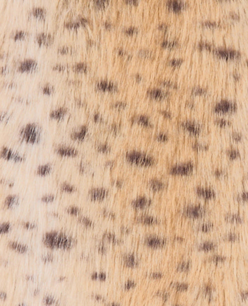 Blouson en fourrure esprit guépard avec col - PIMKIE - 8