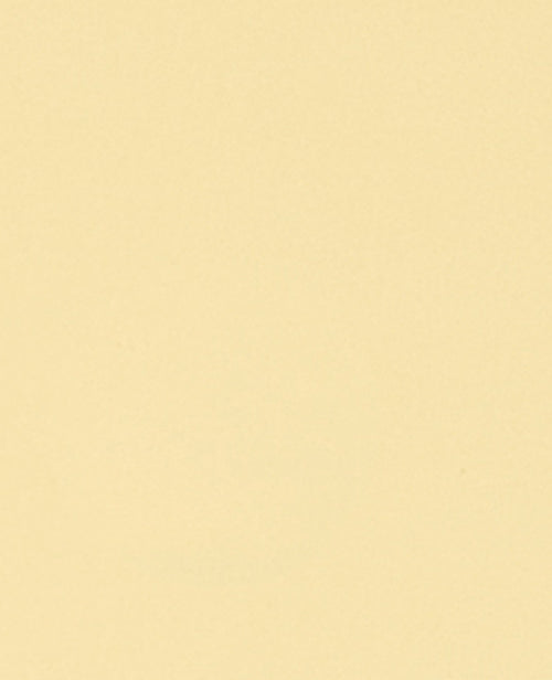 Top court dos ouvert - PIMKIE - 8