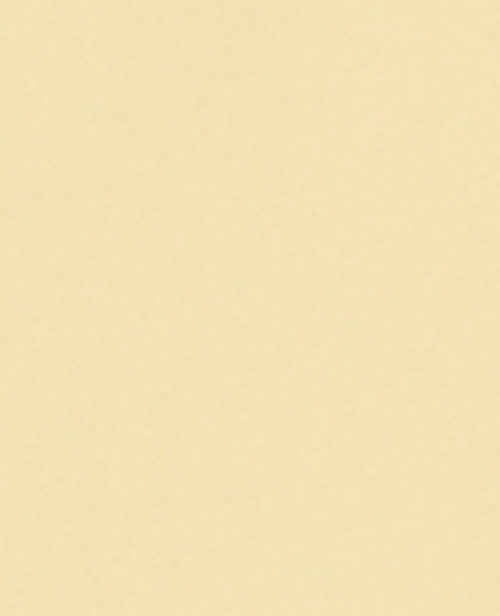 Sweat col rond avec broderie - PIMKIE - 8