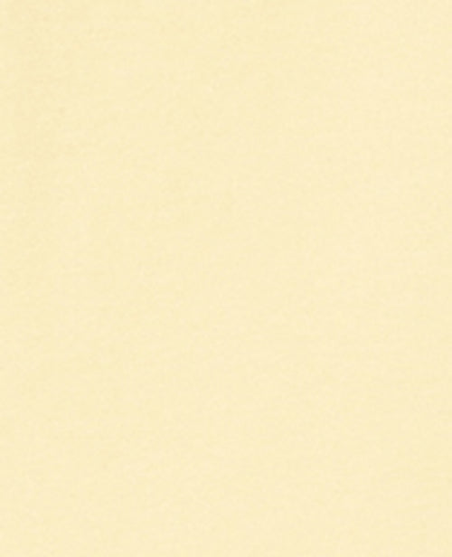 T-shirt épais avec broderie - PIMKIE - 8