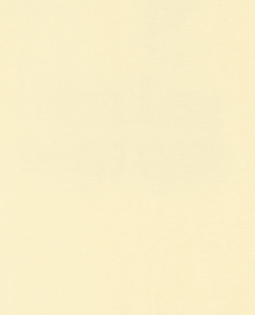 T-shirt oversize avec print devant et dos - PIMKIE - 8