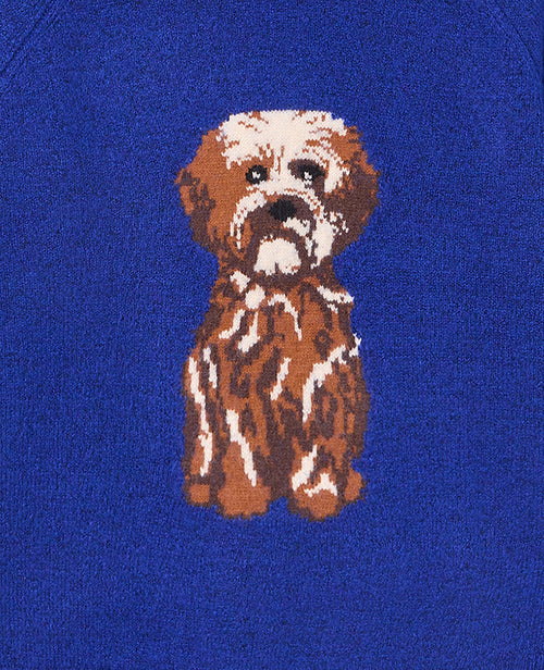 Pull en maille avec chien - PIMKIE - 1
