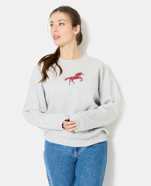 Sweat oversize avec print poitrine et dos - PIMKIE - 1