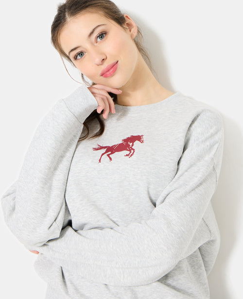 Sweat oversize avec print poitrine et dos - PIMKIE - 2