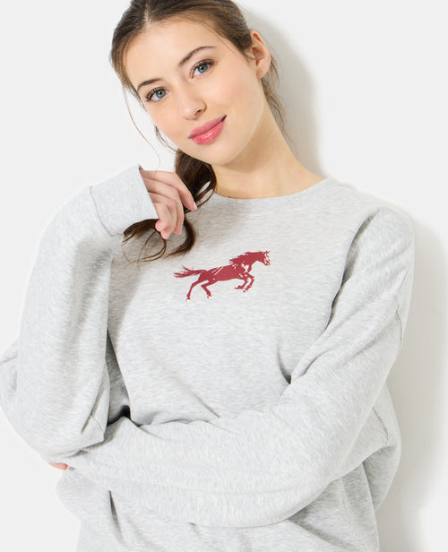 Sweat oversize avec print poitrine et dos - PIMKIE - 5