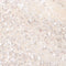 doré