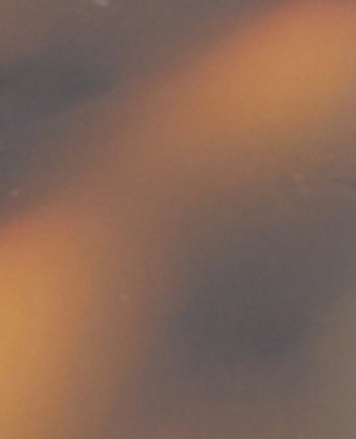 Pince crocodile effet écaille - PIMKIE - 4