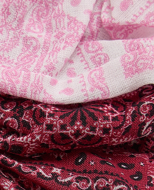Lot de 2 chouchous motif bandana - PIMKIE - 5