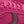 rose fuchsia