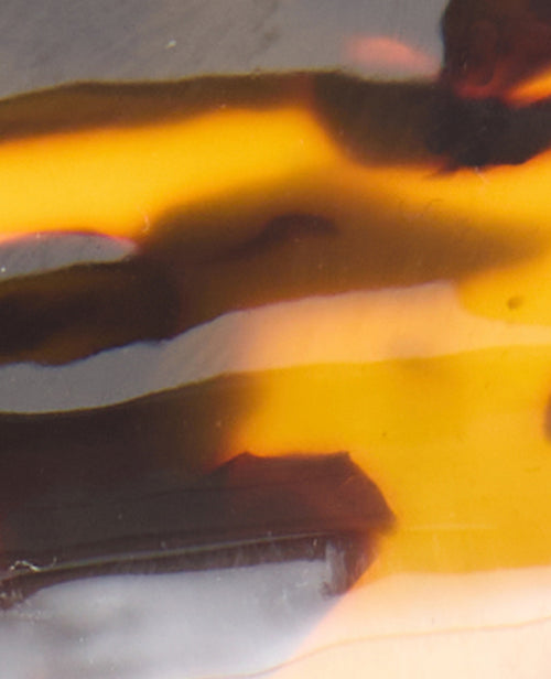 Pince crocodile Chat façon écaille - PIMKIE - 5