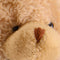 sable