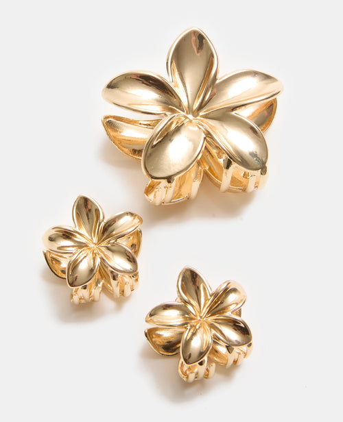 Lot de 3 pinces Fleur de tiaré - PIMKIE - 1