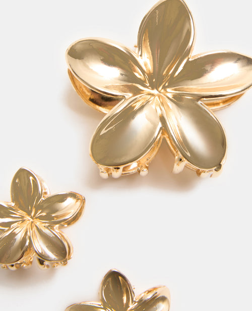 Lot de 3 pinces Fleur de tiaré - PIMKIE - 3