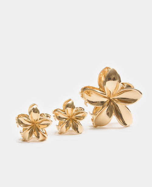 Lot de 3 pinces Fleur de tiaré - PIMKIE - 4