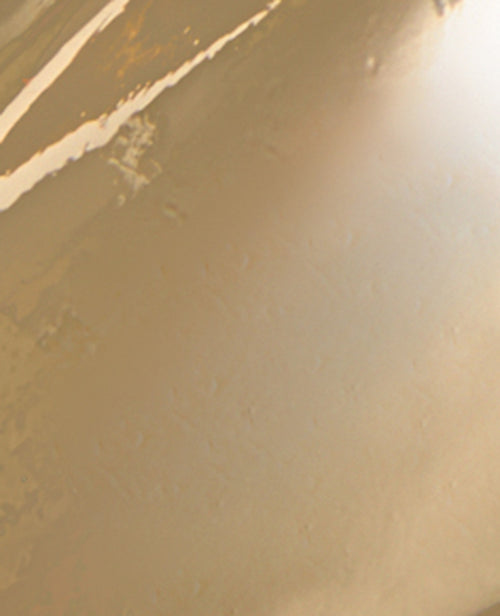 Lot de 3 pinces Fleur de tiaré - PIMKIE - 5