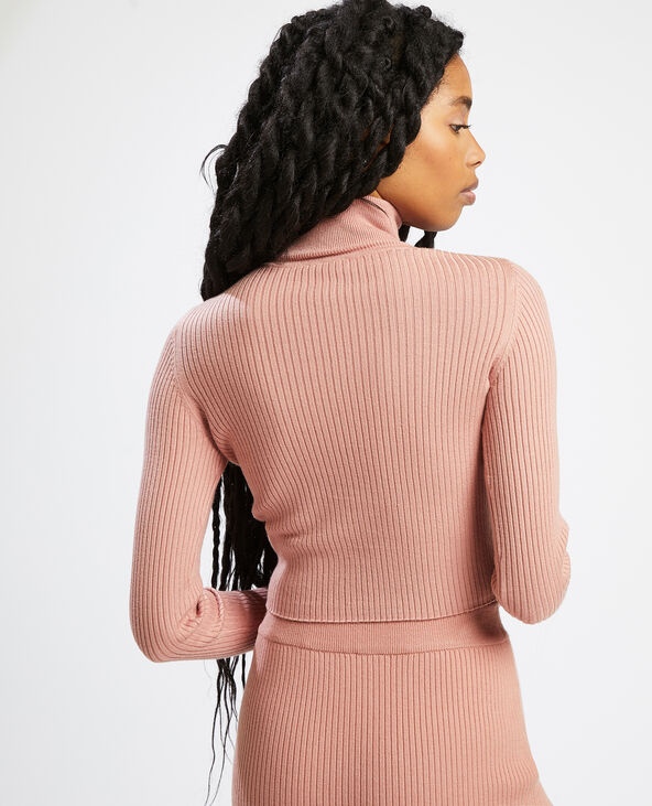 Pull col roulé maille côtelée lilas - Pimkie