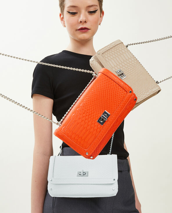 Pochette chaine 2025