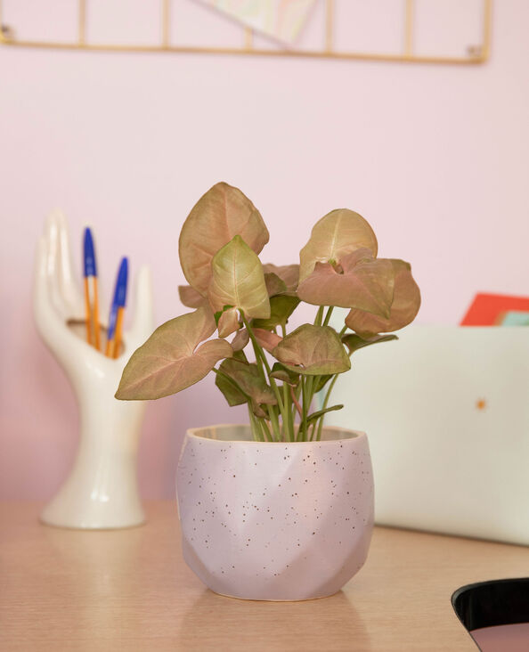 Pot géométrique lilas - Pimkie
