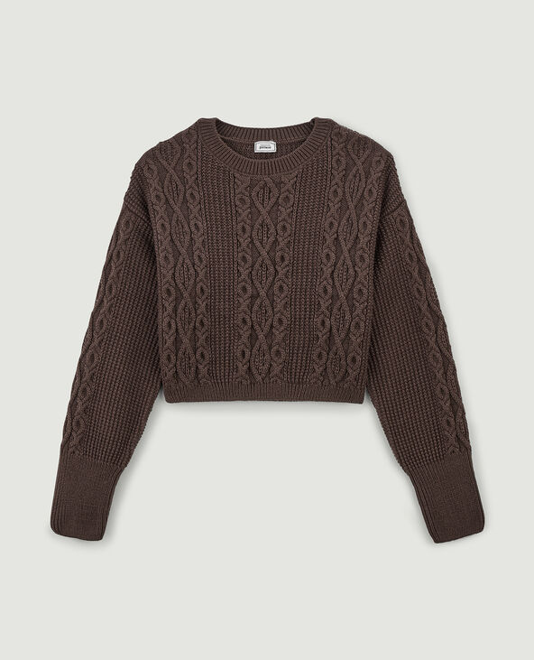 Pull cropped en maille fantaisie marron - Pimkie
