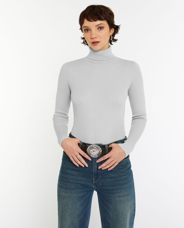 Pull à col roulé court Gris pâle - Pimkie
