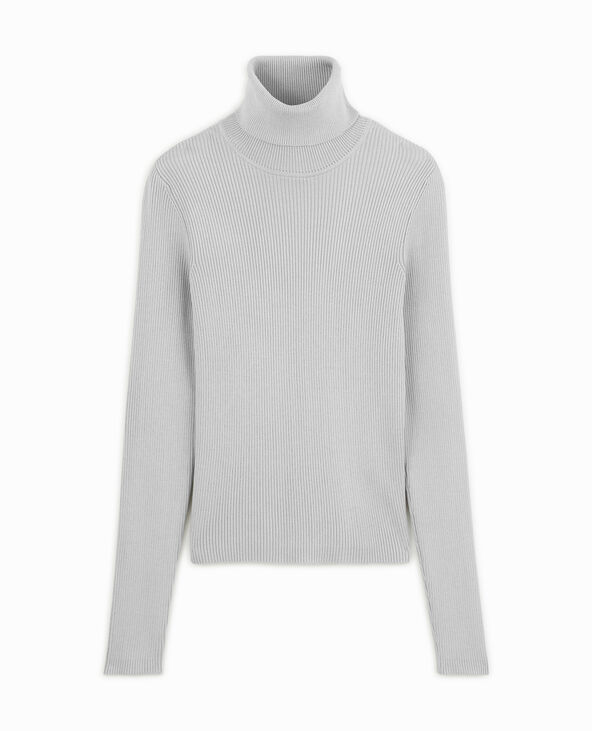 Pull à col roulé court Gris pâle - Pimkie