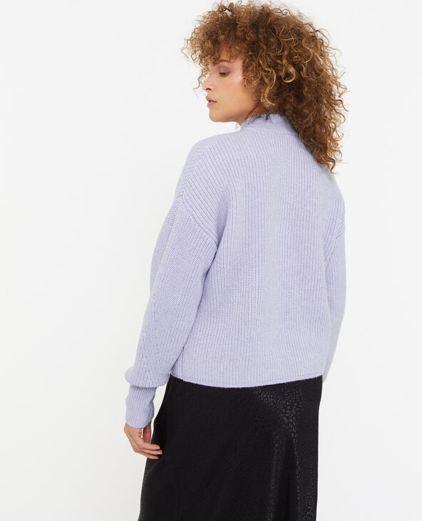 Pull grosse maille avec col boutonné lilas - Pimkie