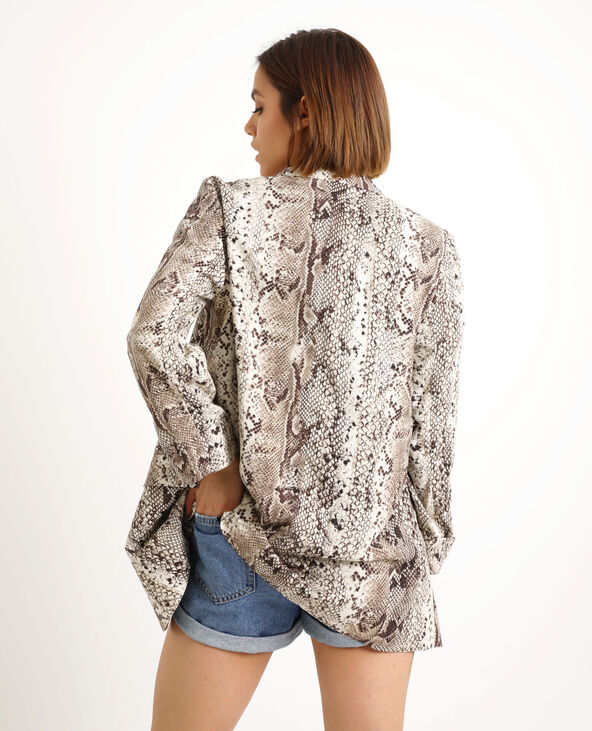 Blazer python