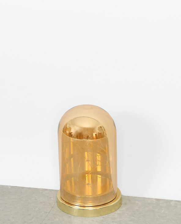Cloche en verre à guirlande led doré - Pimkie
