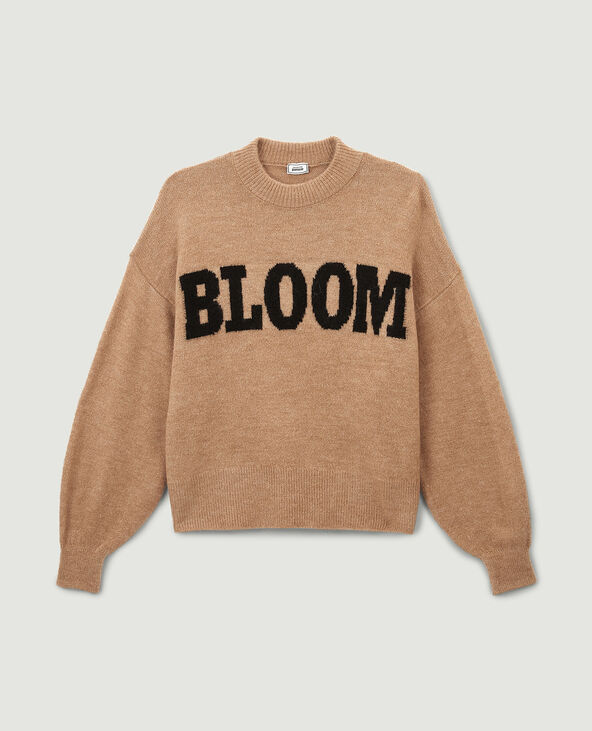 Pull en maille avec inscription beige - Pimkie