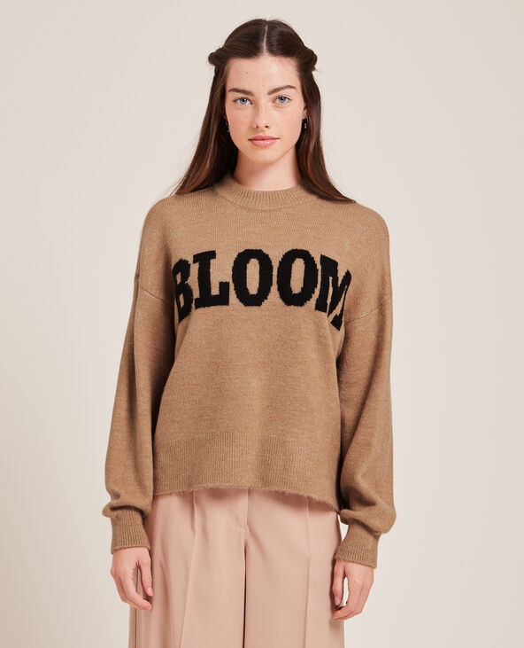 Pull en maille avec inscription beige - Pimkie