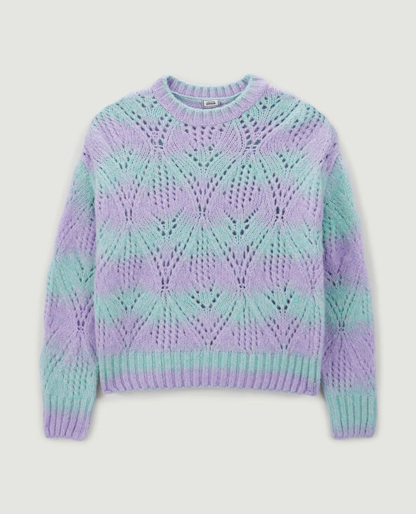 Pull bicolore maille ajourée lilas - Pimkie