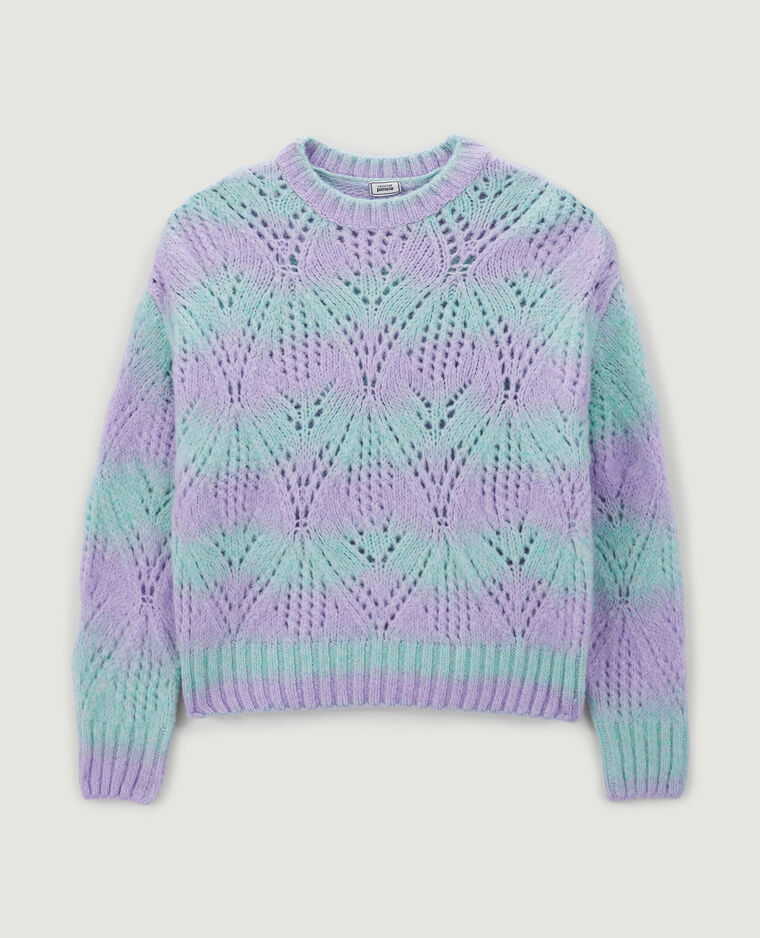 Pull bicolore maille ajourée lilas - Pimkie