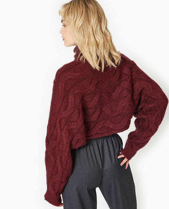 Pull cropped col roulé et manches chauve-souris bordeaux - Pimkie