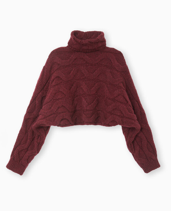 Pull cropped col roulé et manches chauve-souris bordeaux - Pimkie