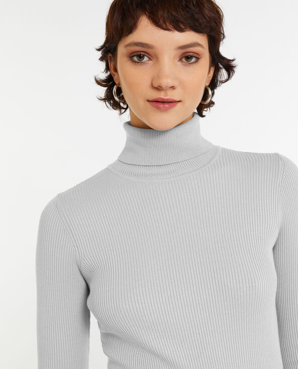 Pull à col roulé court Gris pâle - Pimkie