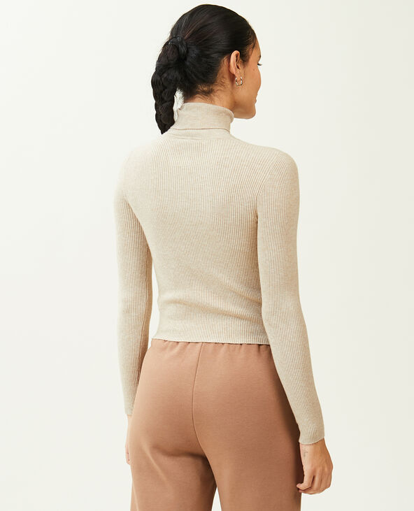 Pull col roulé maille côtelée taupe - Pimkie