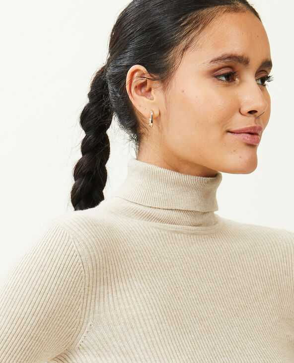 Pull col roulé maille côtelée taupe - Pimkie