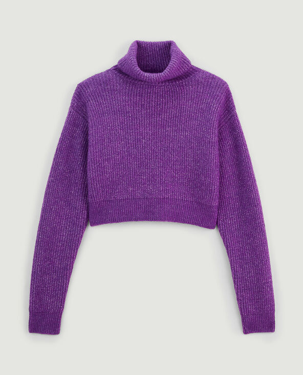 Pull cropped col roulé violet - Pimkie