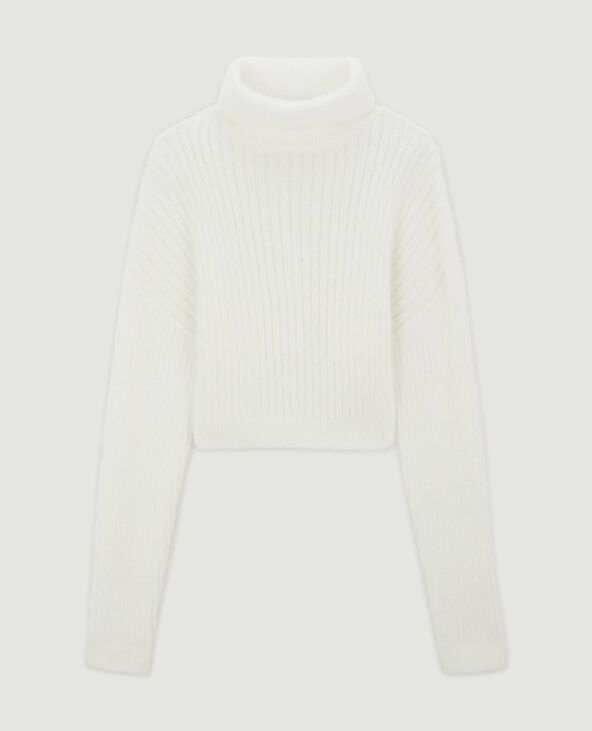 Pull court col roulé en maille fluffy  blanc - Pimkie