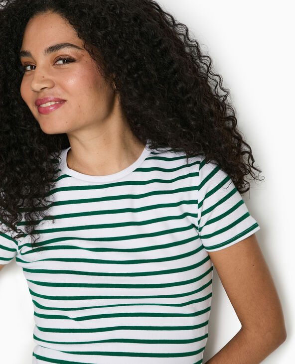 T-shirt court en maille côtelée rayée vert - Pimkie