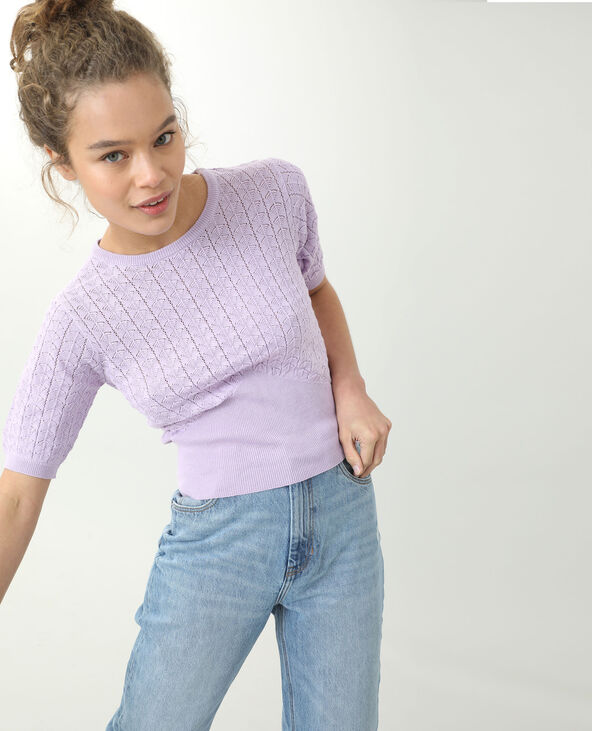 Petit pull manches courtes lilas - Pimkie