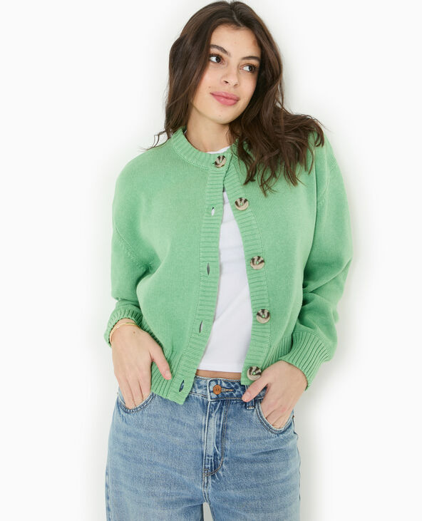 Gilet col rond avec gros boutons vert - Pimkie