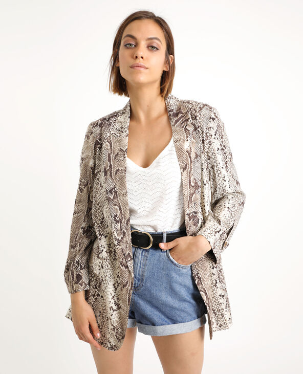 Blazer python