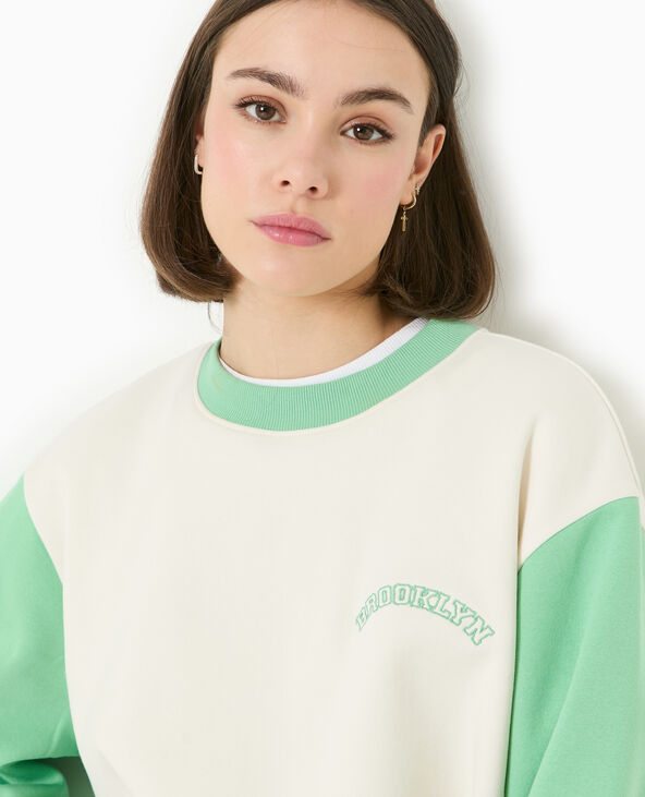 Sweat bicolore avec broderie poitrine et dos vert - Pimkie