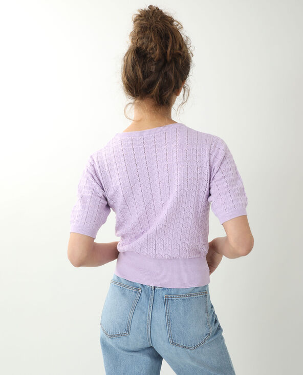 Petit pull manches courtes lilas - Pimkie