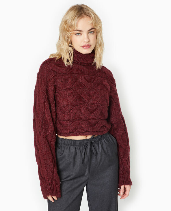 Pull cropped col roulé et manches chauve-souris bordeaux - Pimkie