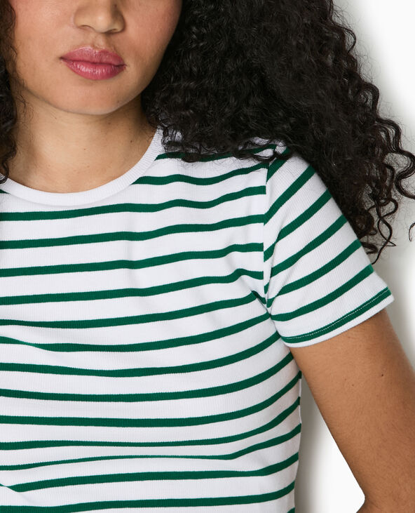 T-shirt court en maille côtelée rayée vert - Pimkie