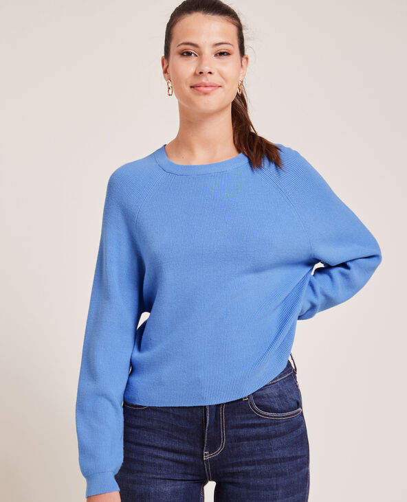 Pull col rond fines côtes bleu - Pimkie